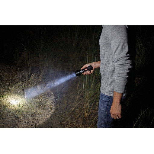  Torcia Coleman BatteryGuard 750 Lumen